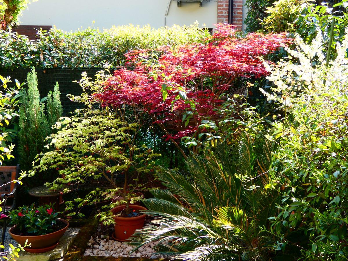 Apartament Garden Sweet House Desenzano Desenzano del Garda Zewnętrze zdjęcie
